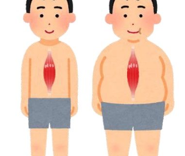 痩せているのに肥満!?加齢などで筋肉量が減るサルコペニア肥満 痩せているのに肥満!?加齢などで筋肉量が減るサルコペニア肥満