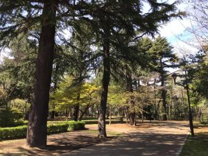 江古田の森公園2