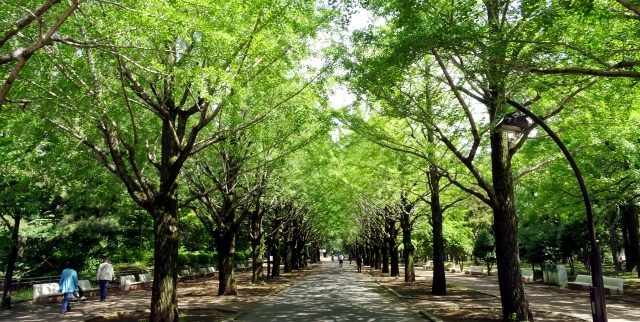 【サ高住・練馬区】緑豊かな住環境！おすすめ4選ご紹介（東京都）