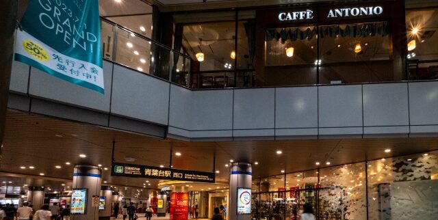 青葉区の街情報（横浜市）｜海だけじゃない横浜で”青葉”の萌芽を摘んで暮らす（神奈川県）