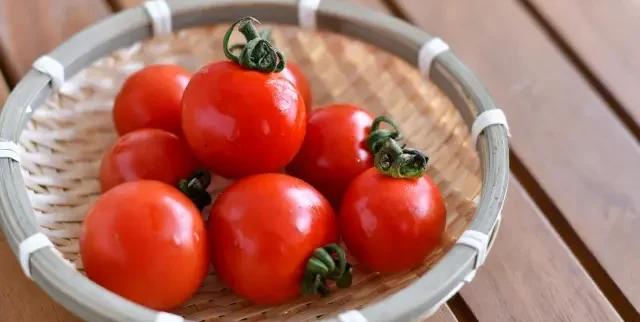 トマトの栄養と効能は？健康＆美容にぴったりの理由を管理栄養士が解説