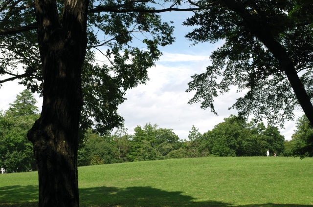 府中の森公園