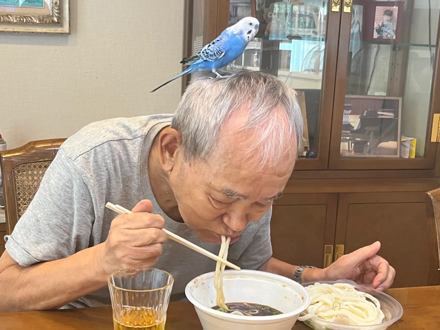 87歳、現役トレーダー シゲルさんの教え3