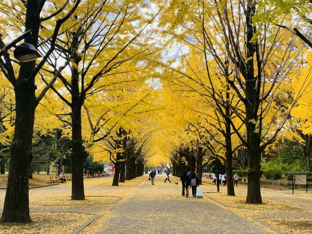 練馬区 街情報2