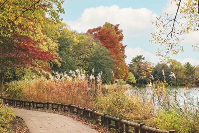 練馬区 街情報3